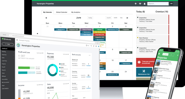 Property Management on QuickBooks | Re-Leased USA